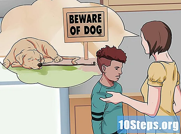 Jak sobie radzić z atakiem psa