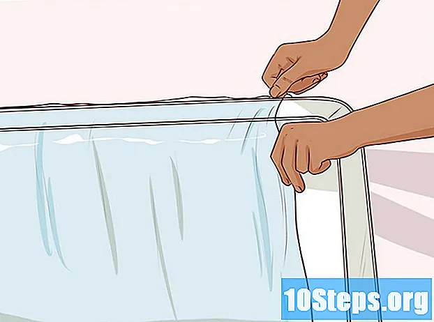 Cách làm sạch nước tiểu mèo khỏi nệm