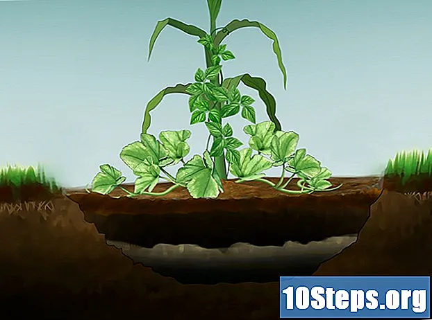 Kuinka parantaa maaperän kuivatusta