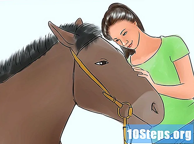 Hoe de conditie van een paard te verbeteren