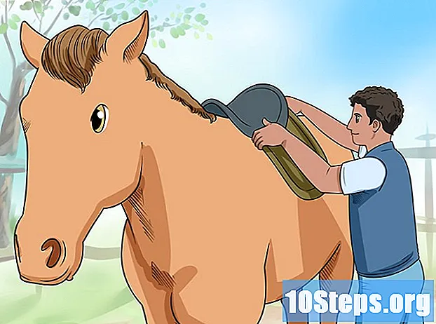 Cách cưỡi ngựa