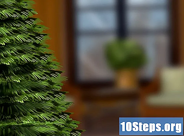 Wie man einen katzensicheren Weihnachtsbaum baut
