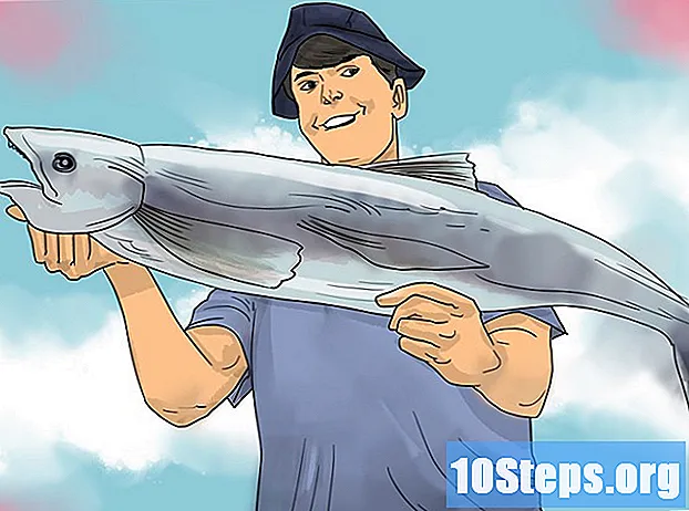 Wie man mit Köder fischt - Tipps