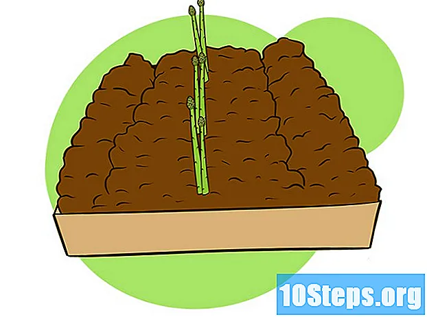 Wie man Spargel pflanzt