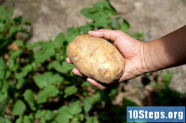 Как да засаждате картофи