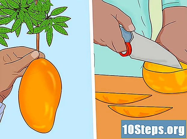 Как да засадим маркуч