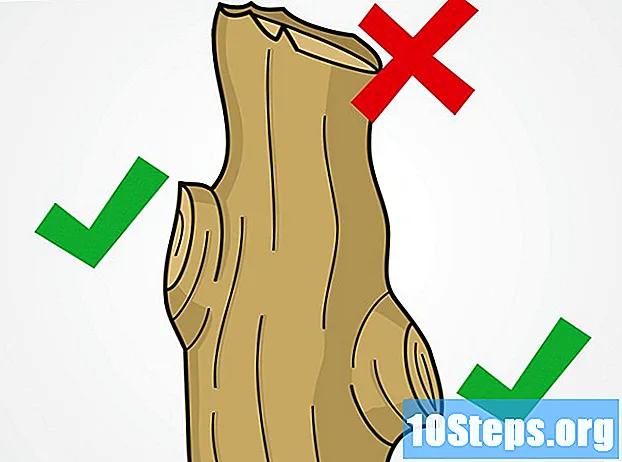 Як обрізати дерева