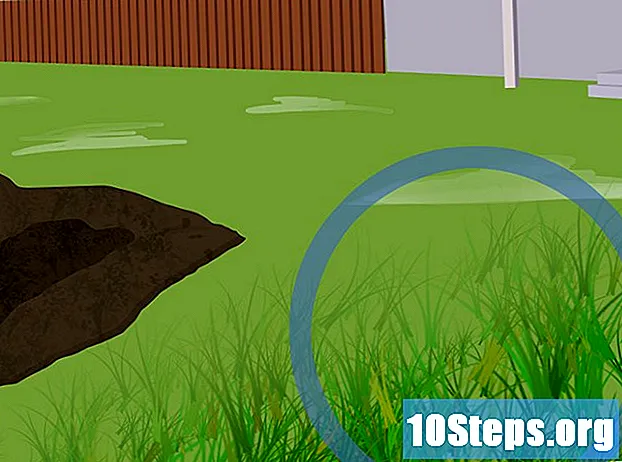 Cum să pregătești solul pentru o grădină