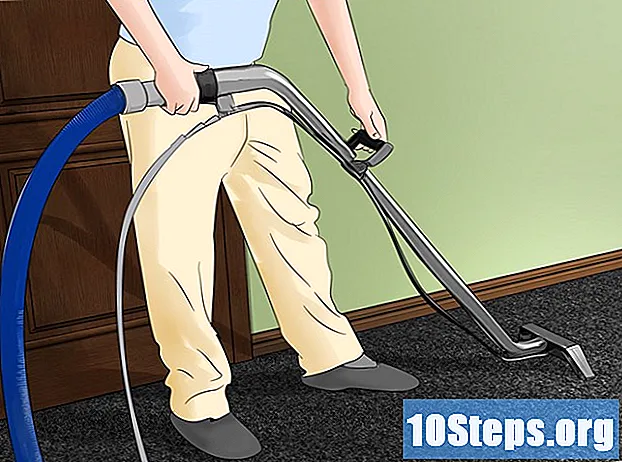 Come rimuovere l'odore di vomito dal tappeto