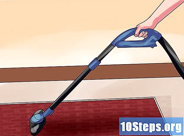 Cómo quitar las manchas de pintura de la alfombra