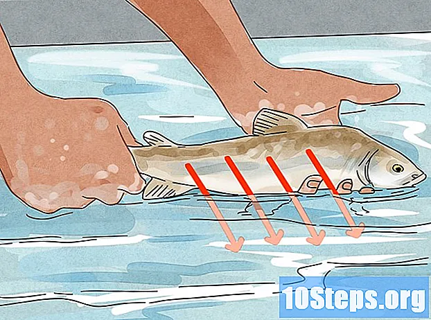 Πώς να αφαιρέσετε ένα γάντζο ψαριού