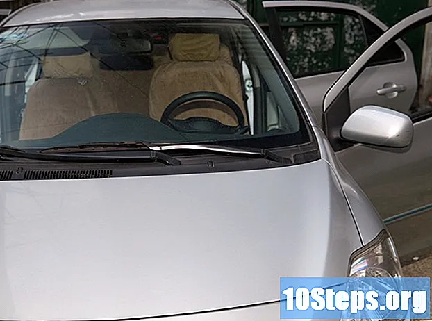 So entfernen Sie Schimmelgerüche aus dem Fahrzeuginnenraum - Tipps