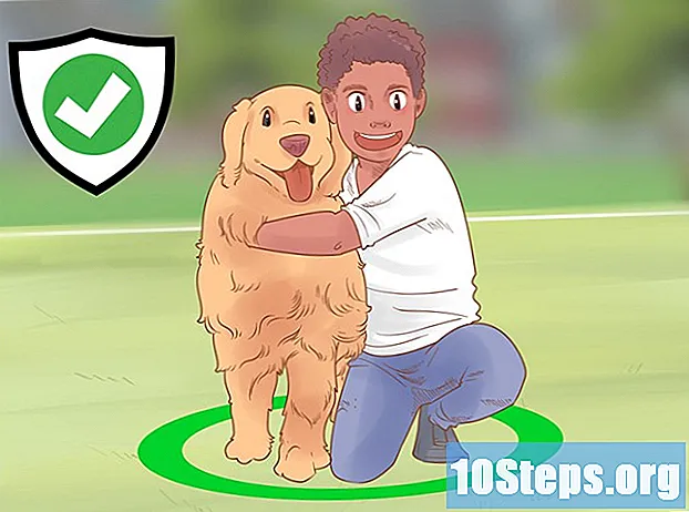 Hur man vet om din hund gillar dig mer