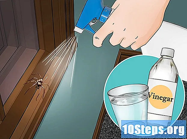 あなたの家でクモを取り除く方法