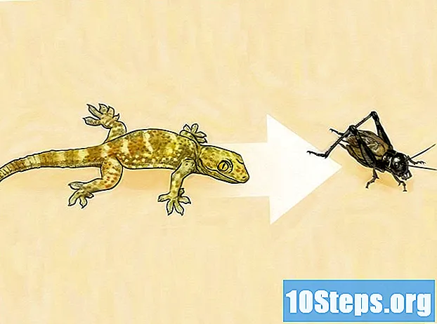 Ako sa zbaviť cvrčkov