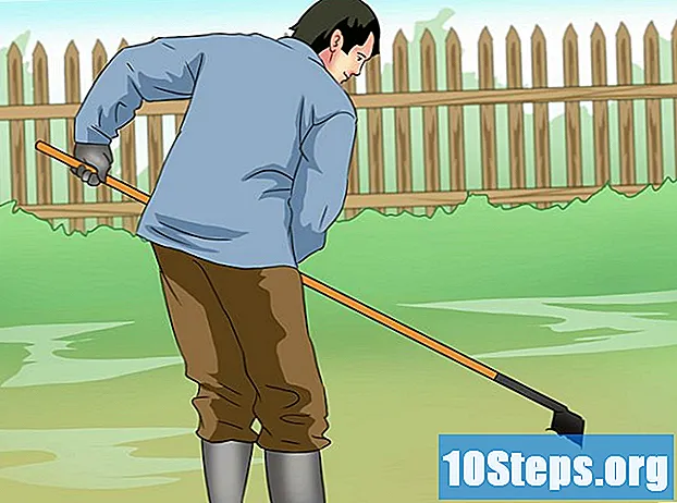 Cum să lucrezi muschii acasă